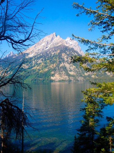 Trip (79)-2.jpg - The Grand Tetons and Jenny Lake
